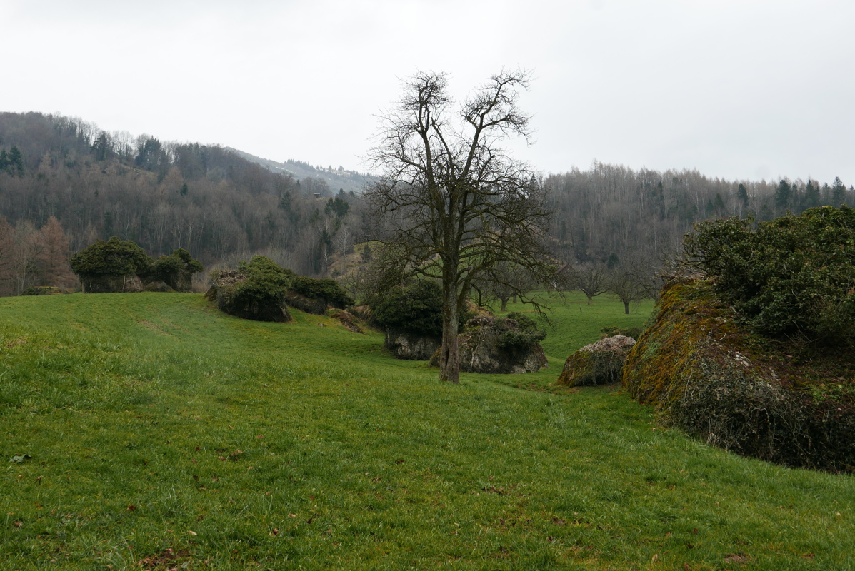 p1160343.jpg