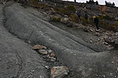 p1160310.jpg