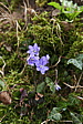 p1160339.jpg