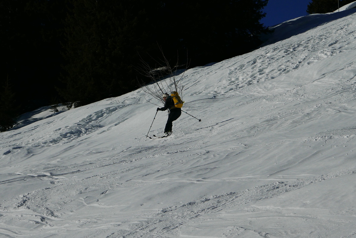 p1160031.jpg