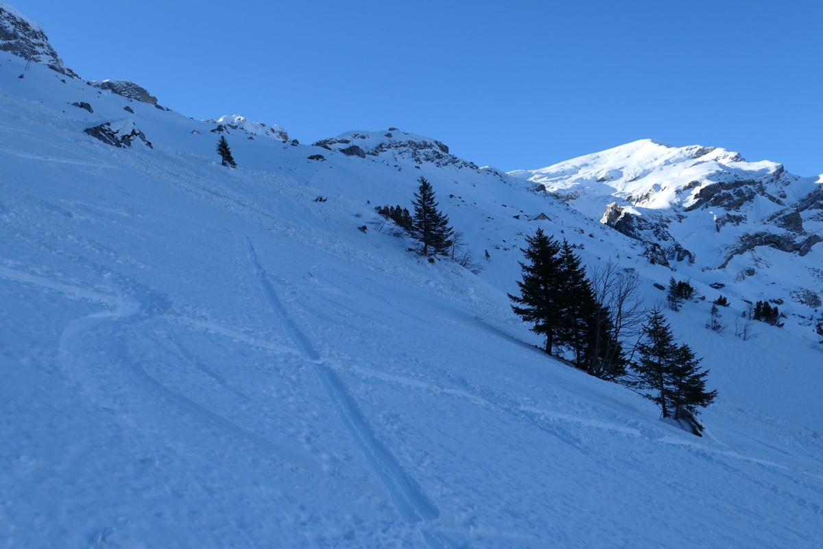 p1000241.jpg