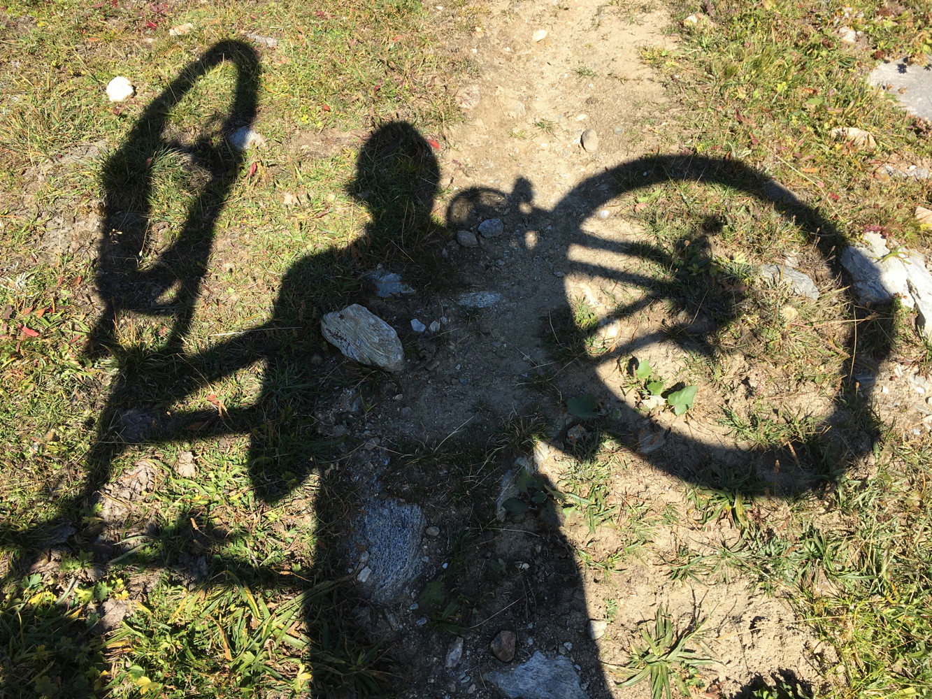 img_1755.jpg