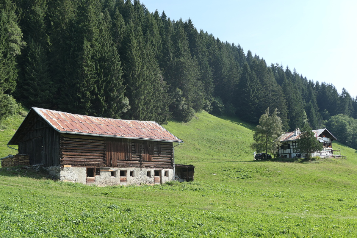 p1010392.jpg