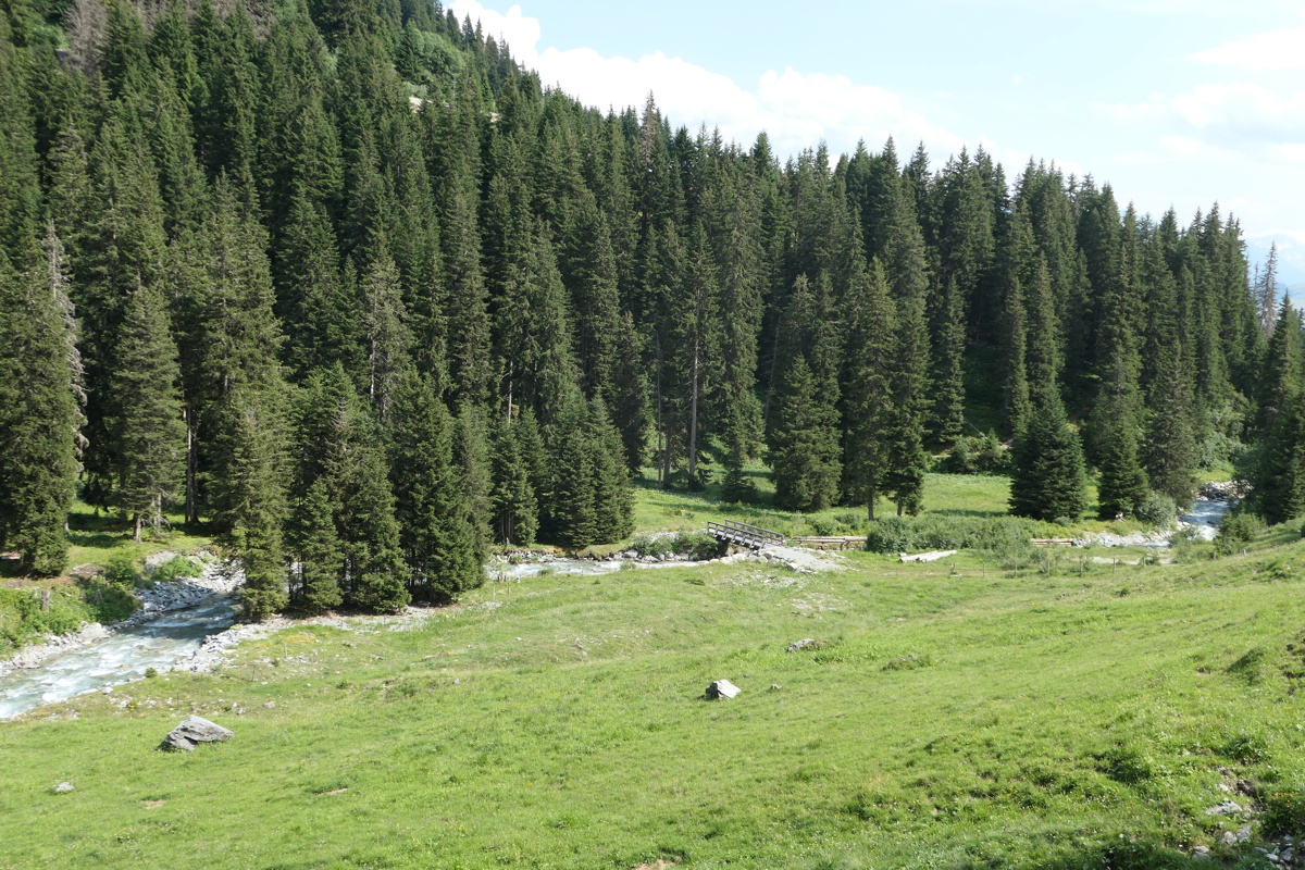 p1010403.jpg