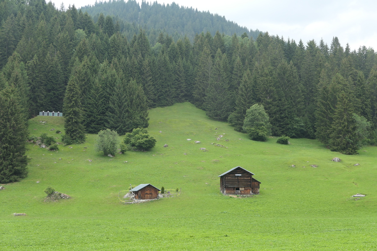 p1010407.jpg