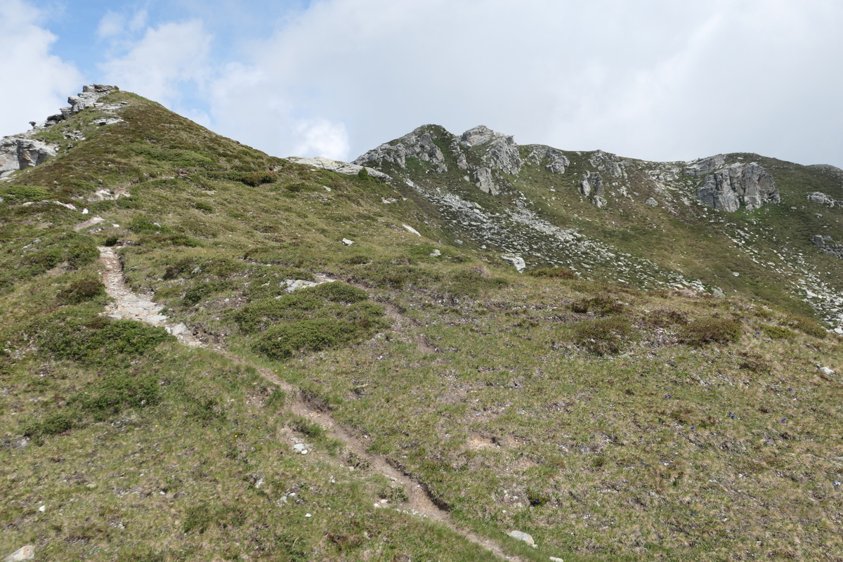 p1010414.jpg