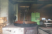 p1010402.jpg