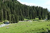 p1010403.jpg