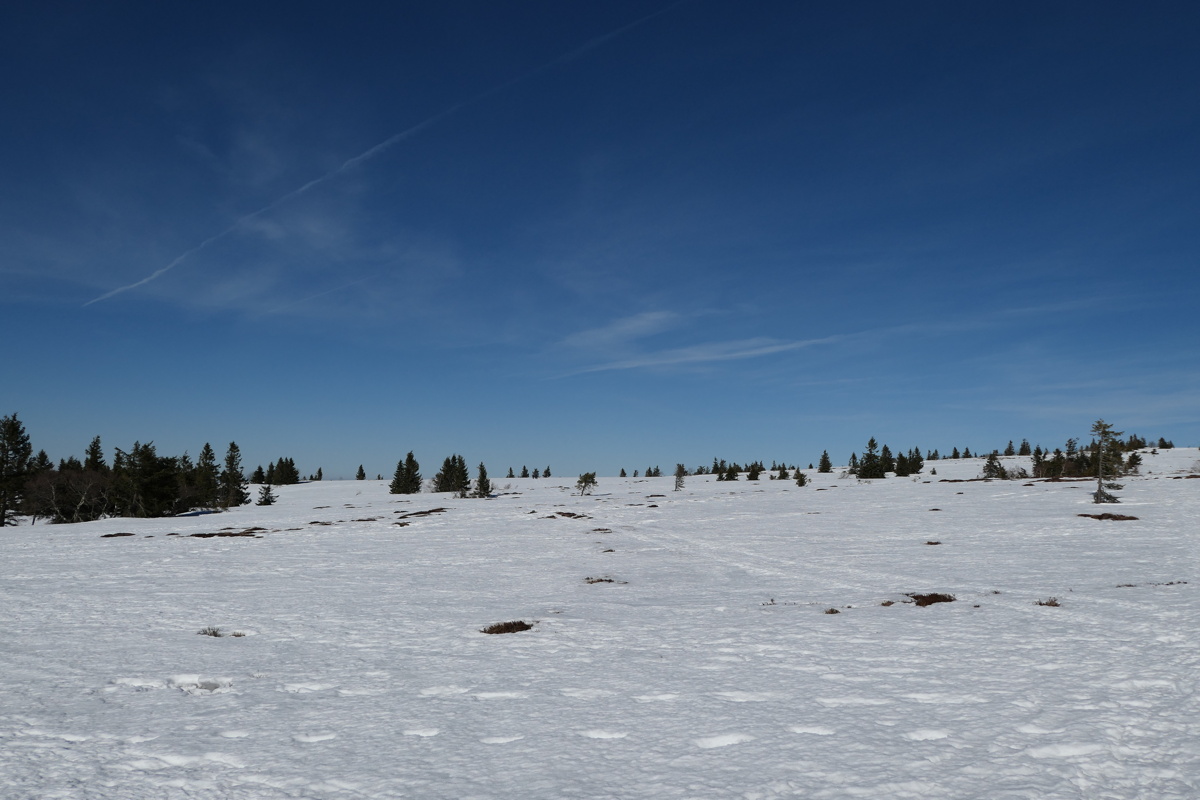 p1000331.jpg