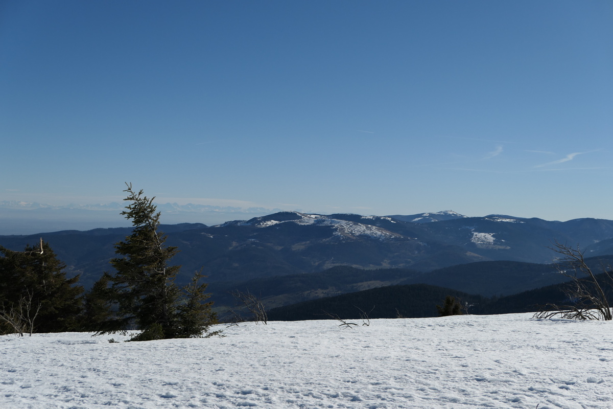p1000333.jpg