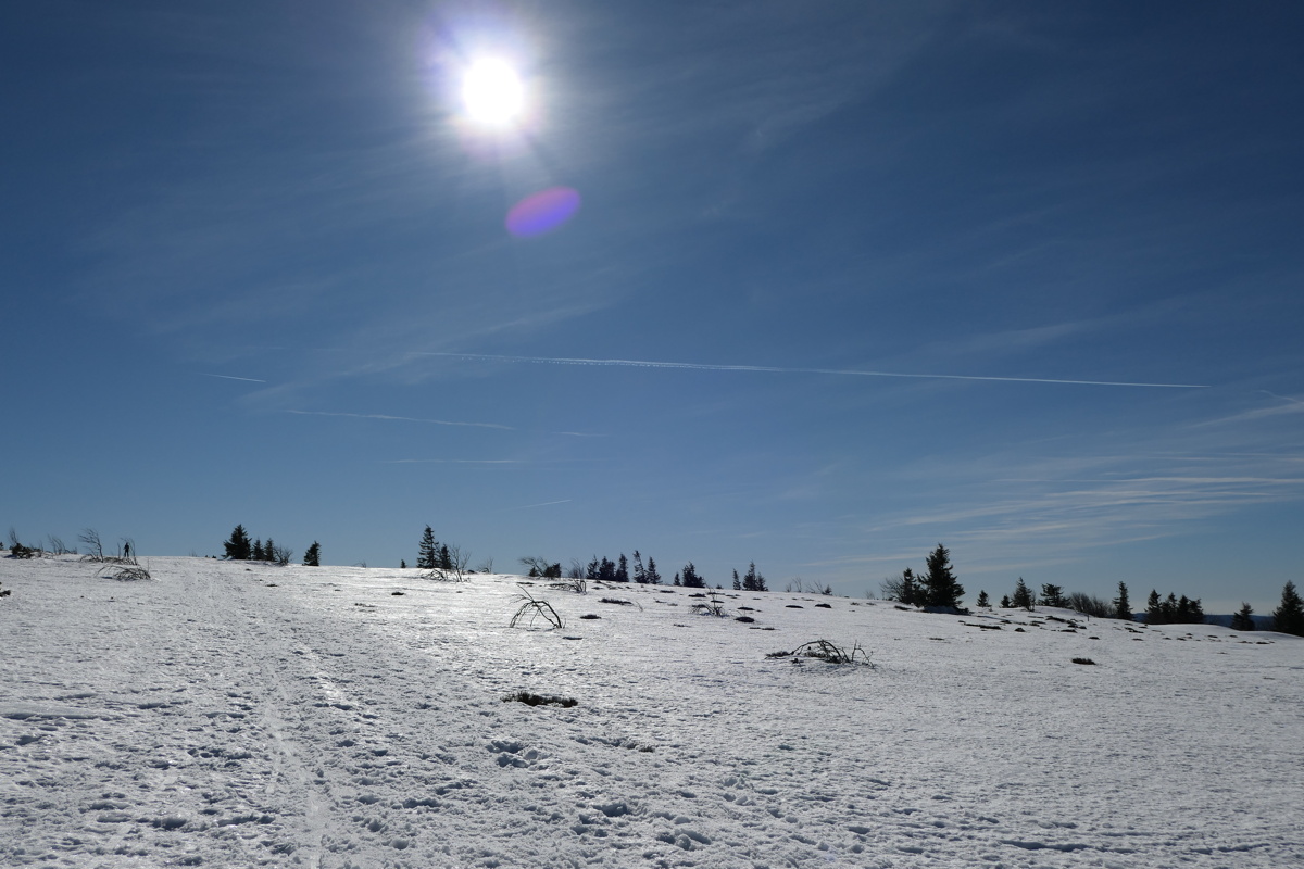 p1000336.jpg