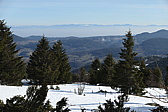 p1000305.jpg