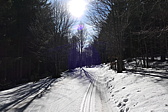 p1000307.jpg