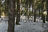 p1000308.jpg