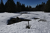 p1000322.jpg