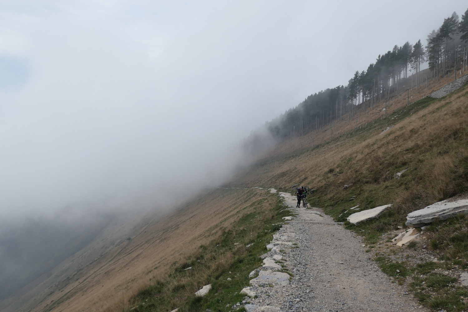 p1010823.jpg