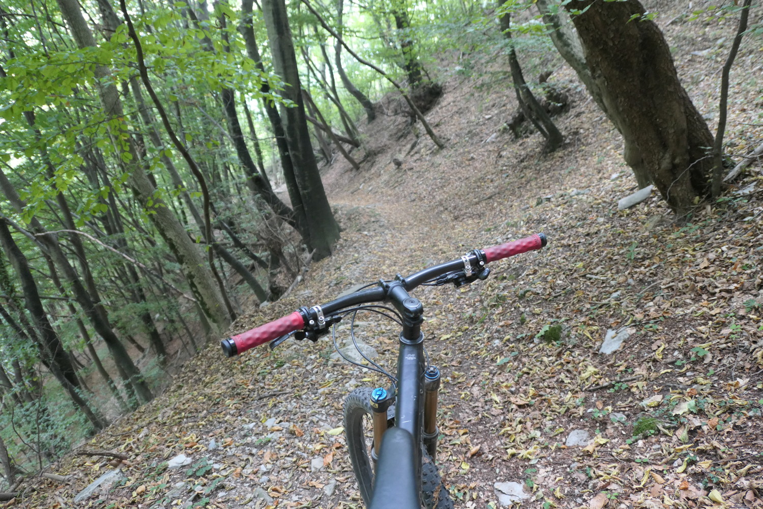 p1010843.jpg