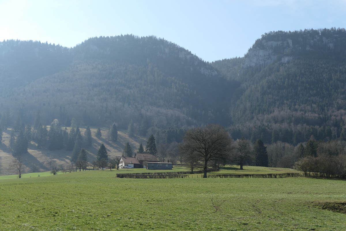 p1000490.jpg