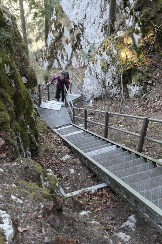 p1000501.jpg