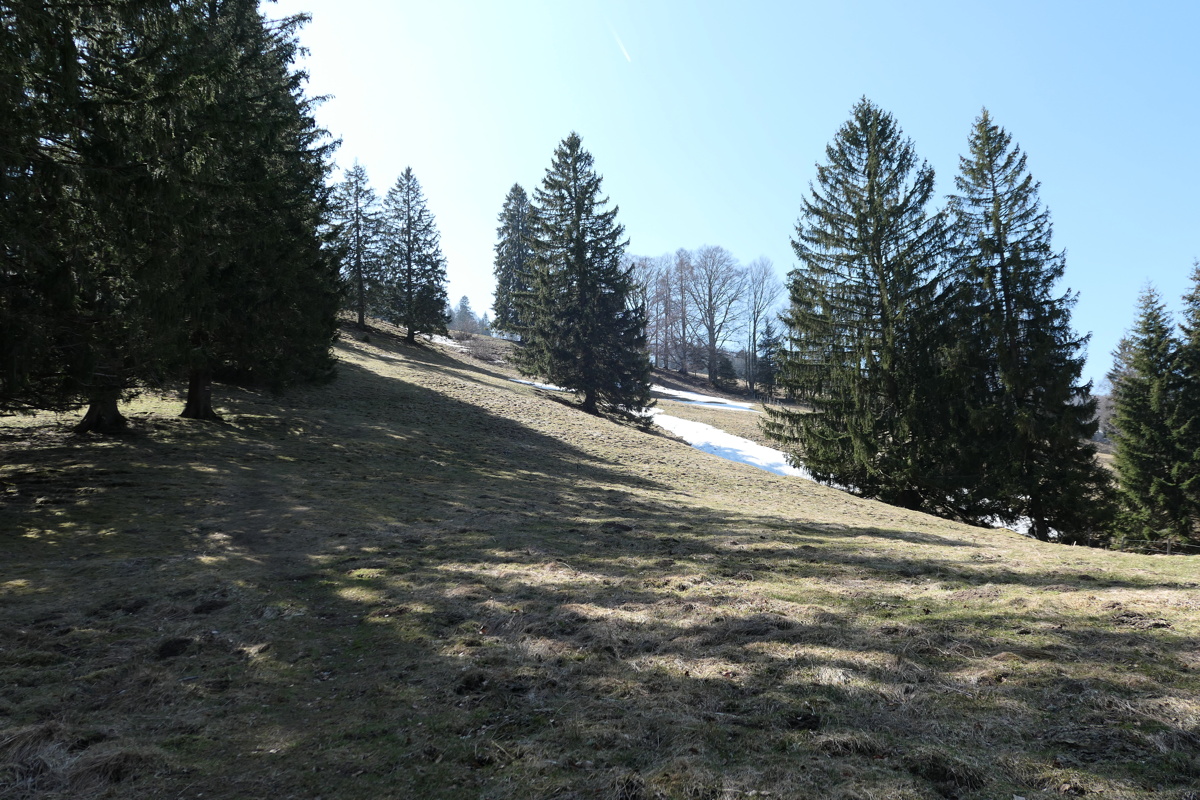 p1000504.jpg