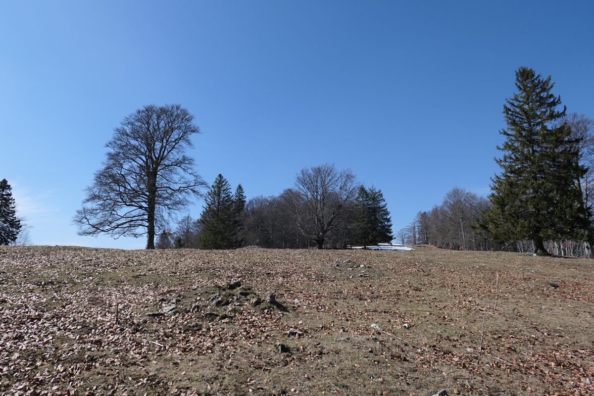 p1000508.jpg