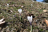 p1000502.jpg