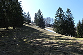 p1000504.jpg