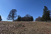 p1000508.jpg