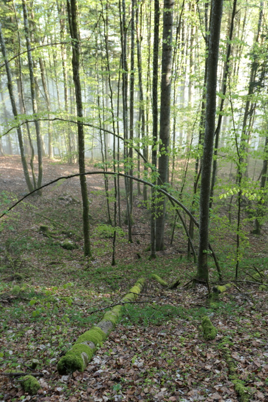 p1000838.jpg