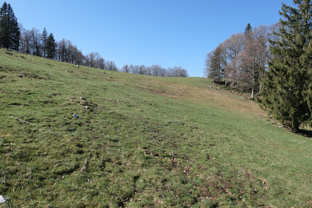 p1000841.jpg