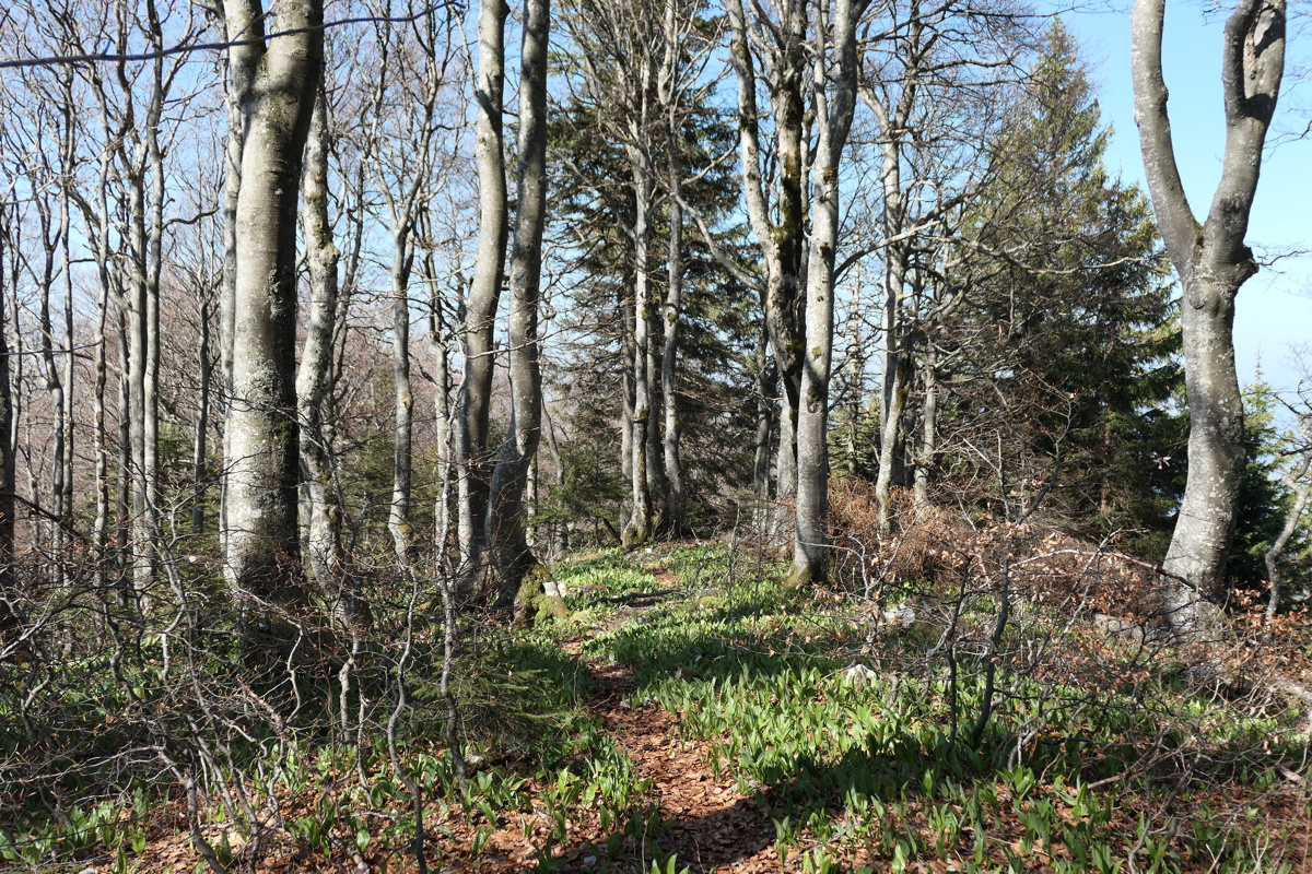 p1000845.jpg