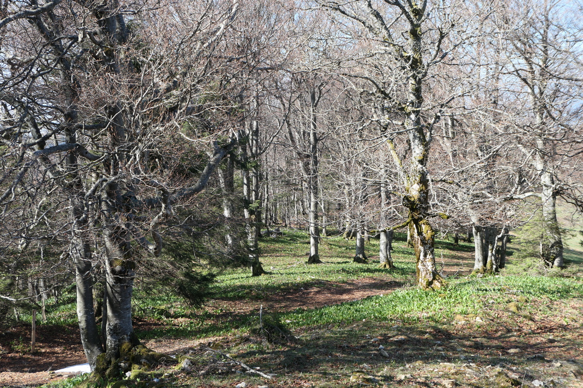 p1000847.jpg