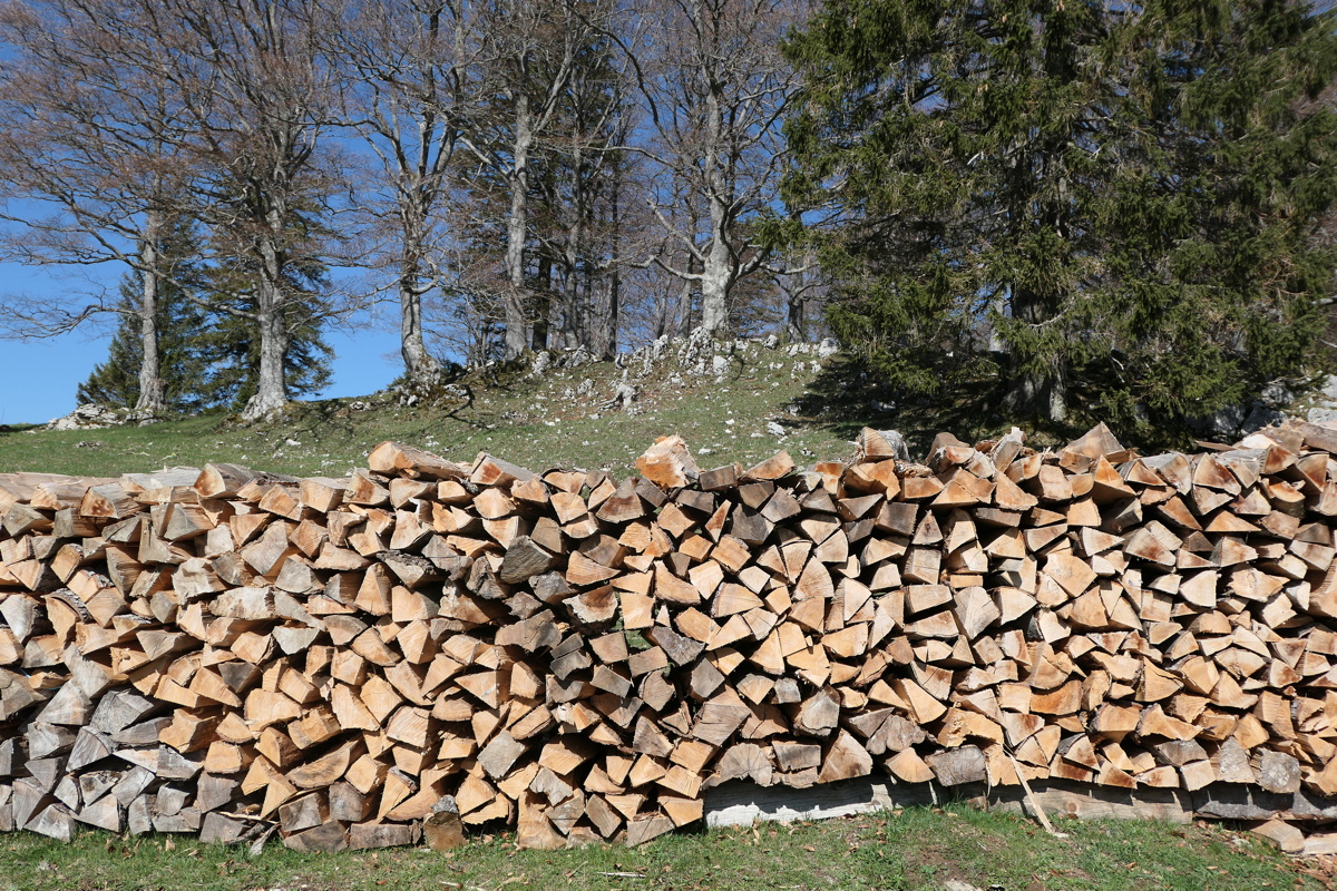 p1000848.jpg