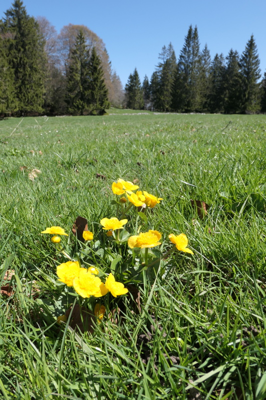 p1000855.jpg