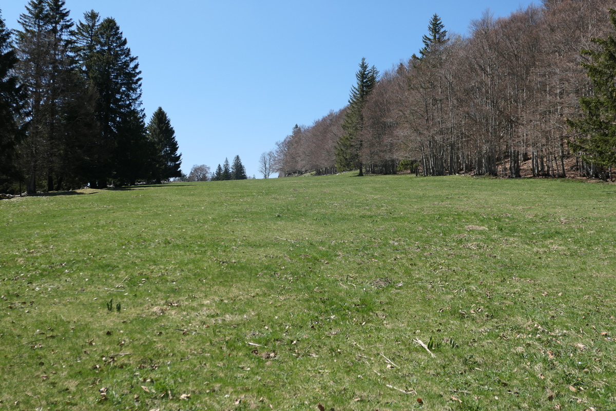 p1000858.jpg