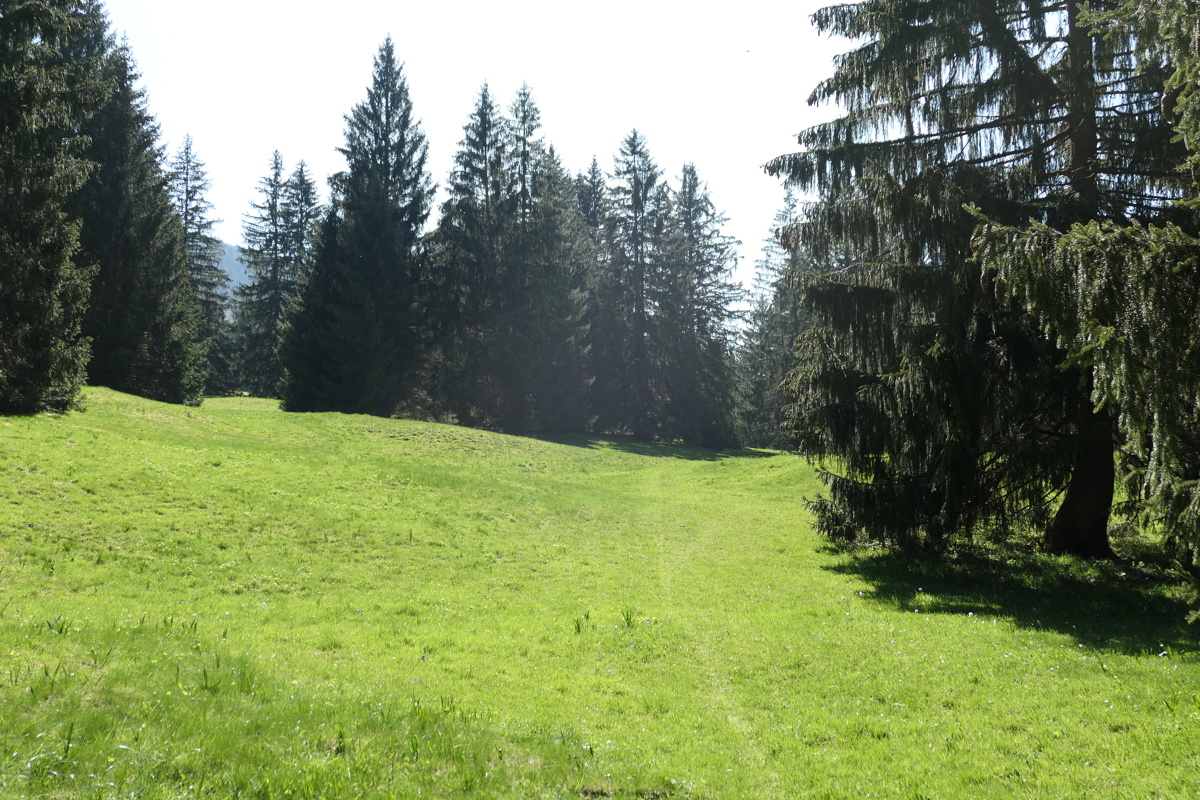 p1000859.jpg