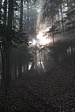 p1000837.jpg