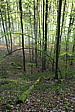 p1000838.jpg