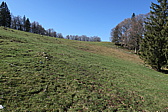 p1000841.jpg