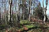 p1000845.jpg