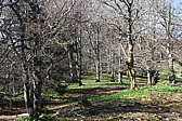 p1000847.jpg
