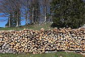 p1000848.jpg