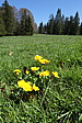 p1000855.jpg