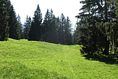 p1000859.jpg