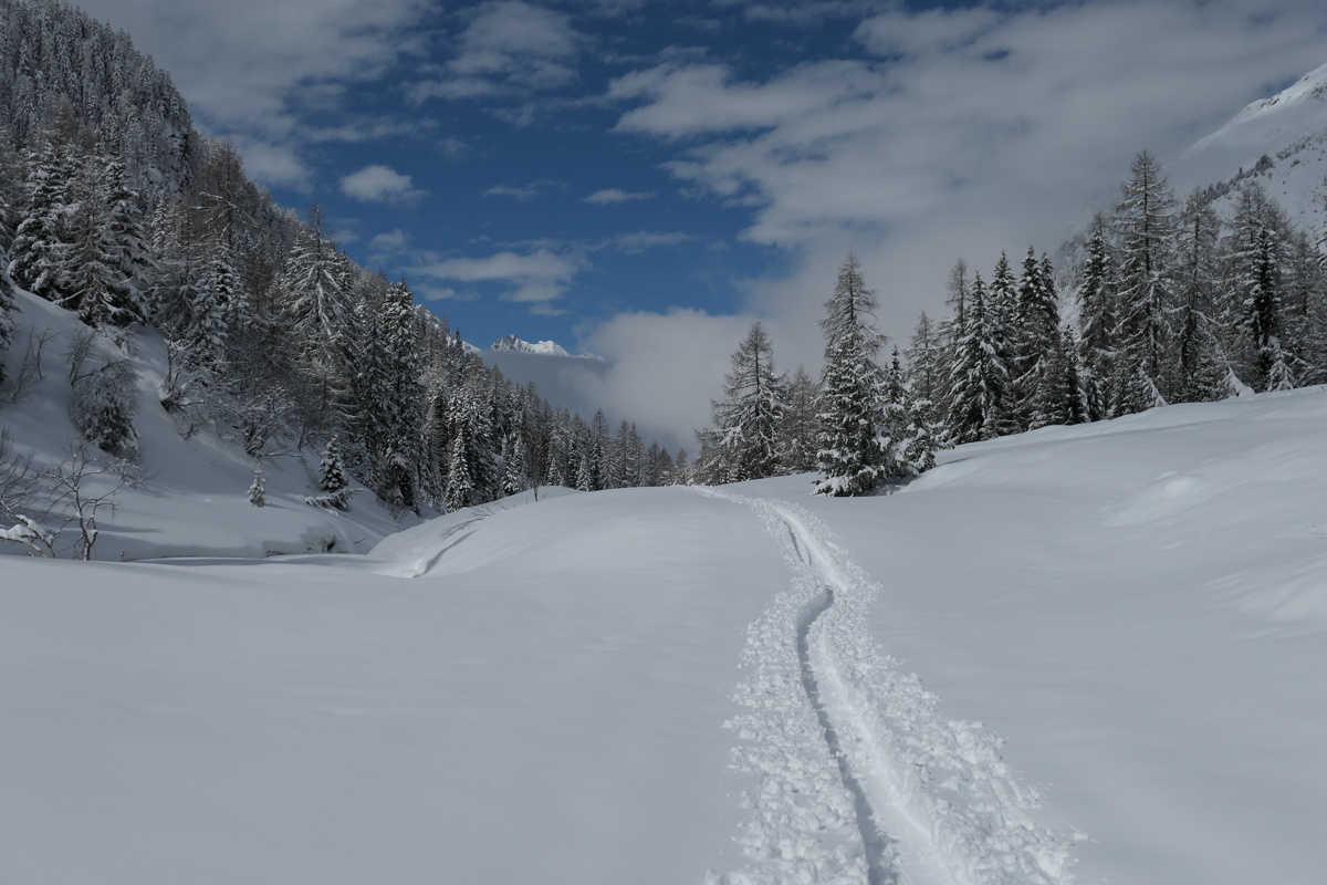 p1000550.jpg
