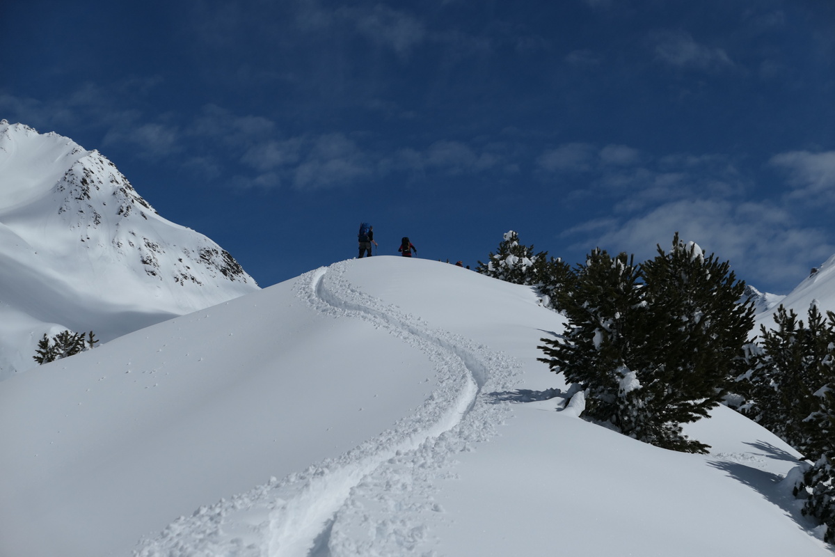 p1000557.jpg