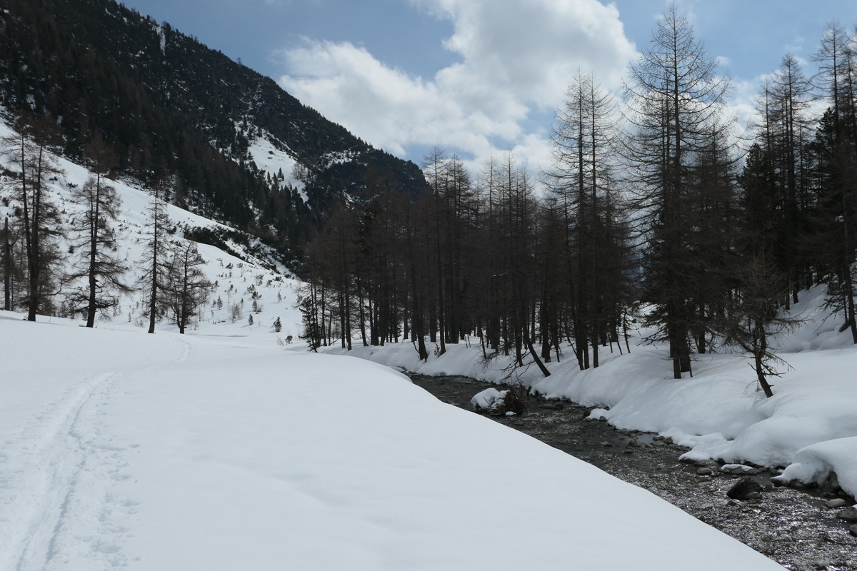 p1000619.jpg