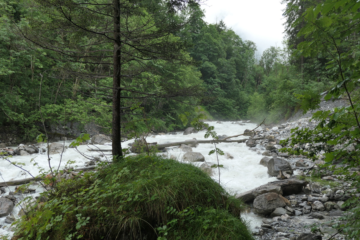 p1010346.jpg