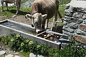 p1010391.jpg