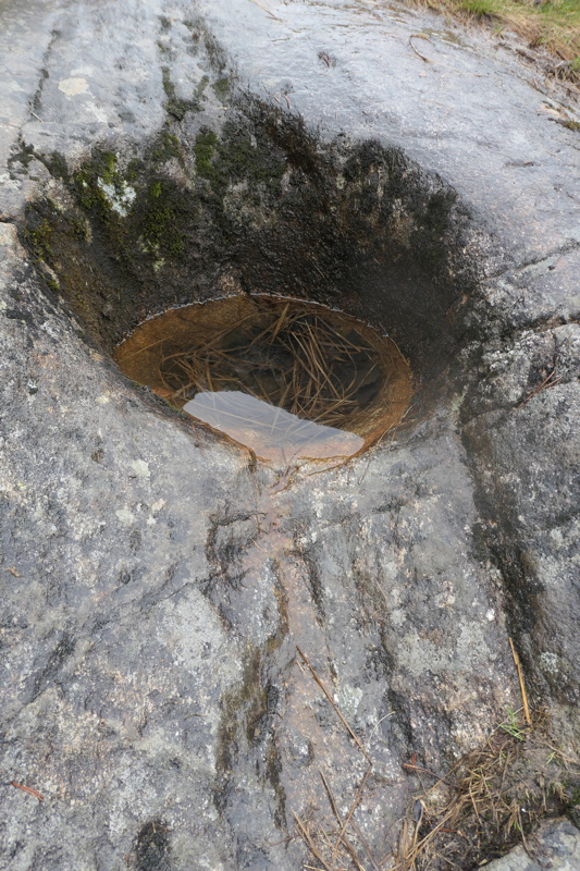 p1010139.jpg